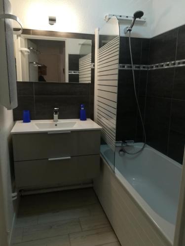 une salle de bain avec un lavabo et une douche avec un miroir dans l'établissement Appartement aux Angles, aux Angles