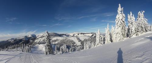 a snow covered mountain with snow covered trees at Domček Horskej Služby in Vyšná Boca