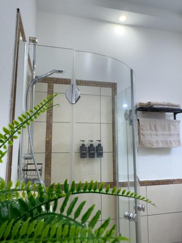 a shower with a glass door in a bathroom at Schlachte-Studio No5 in Bremen