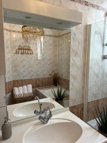 une salle de bain avec un lavabo et une baignoire dans l'établissement Royal Home, hypercentre Reims avec vue Cathédrale, à Reims