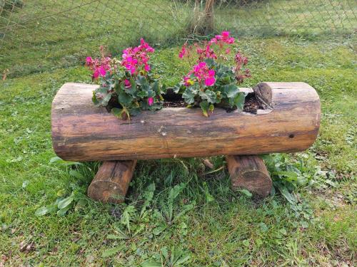 a wooden planter with pink flowers in it at Ferienhaus Bremer Grillenberg in Grillenberg
