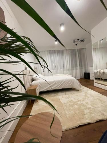 a bedroom with a bed and a plant at Piernikarska 4 łazienki in Toruń