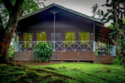 a wooden house with green windows and a tree at Hospedaje La Naciente in Turrialba