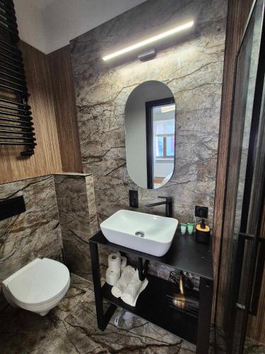 a bathroom with a sink and a toilet and a mirror at Piernikarska 4 łazienki in Toruń