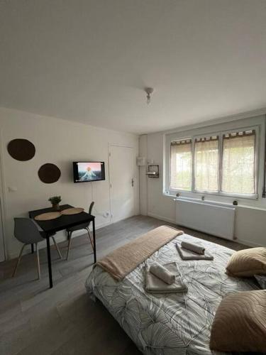 une chambre avec un lit, une table et un bureau dans l'établissement Gite le little cottage 18m2 2 personnes, à Villeneuve d'Ascq