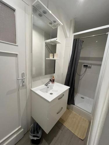 une salle de bain blanche avec un lavabo et une douche dans l'établissement Gite le little cottage 18m2 2 personnes, à Villeneuve d'Ascq