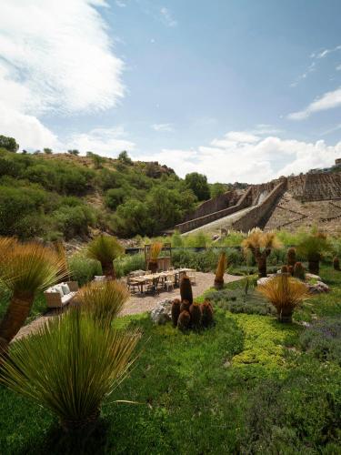 a garden with plants in the grass on a hill at Live Aqua San Miguel de Allende in San Miguel de Allende