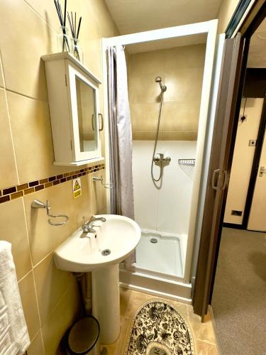 a bathroom with a sink and a shower at Coastal Park Accommodation in Llanelli