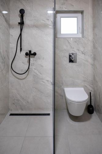 a bathroom with a shower with a toilet and a window at One24 House in Čortanovci
