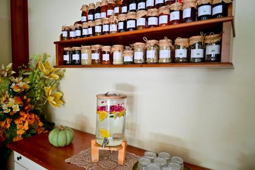a counter with a blender on a table with bottles at Natura Family Resort in Avrig