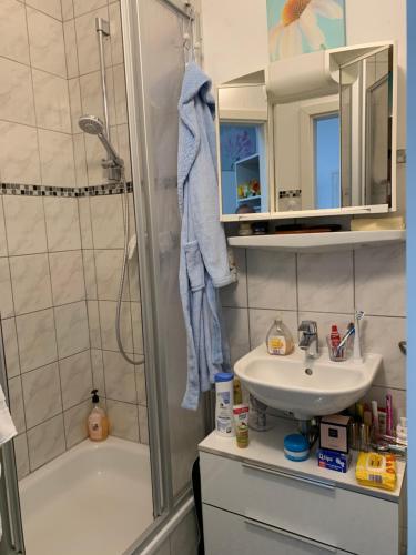 a bathroom with a shower and a sink at Fulda Apartment in Fulda