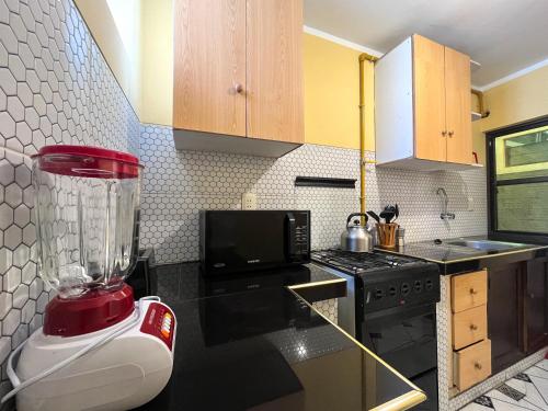 Kuchyň nebo kuchyňský kout v ubytování Abaroa Guest House