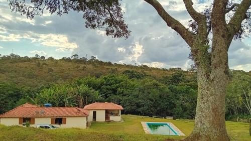 una casa con piscina accanto ad un albero di Sítio Morada do Cedro - Ibitipoca a Lima Duarte