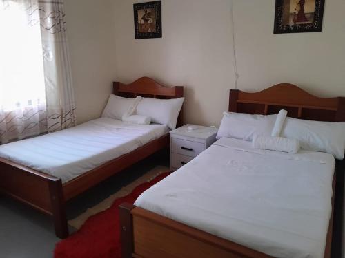 a bedroom with two beds and a red rug at Mypropertymychoise Nyayo estate in Nambale
