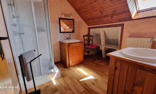 a bathroom with a shower and a sink and a mirror at Les Chambres du Saladou in Mont-Chanson