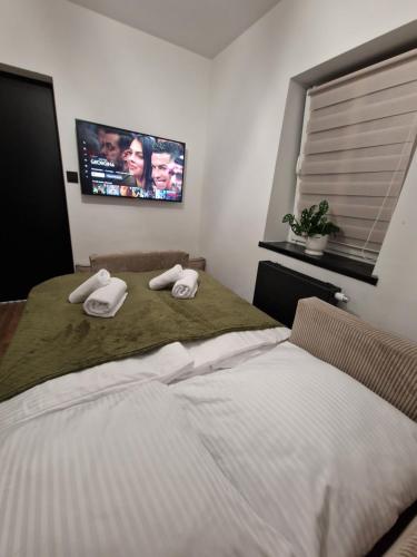 a bedroom with a bed with a tv on the wall at Apartament z Balią in Świeradów-Zdrój