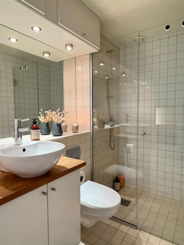 a bathroom with a sink and a toilet and a shower at Botanical Bliss in OSLO! in Oslo