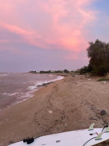 a surfboard on a beach with a pink at Seafront View in Mola di Bari