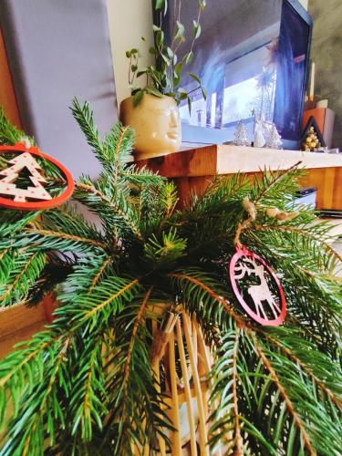 a christmas tree sitting on top of a table at Dom nad jeziorem WIDOKówka in Żywiec