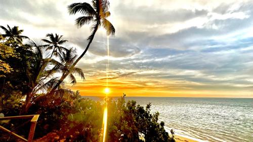 a sunset over the ocean with a palm tree at Villa 4Bdrms 3.5baths with pool, Jacuzzi and Starlink WiFi in Las Terrenas