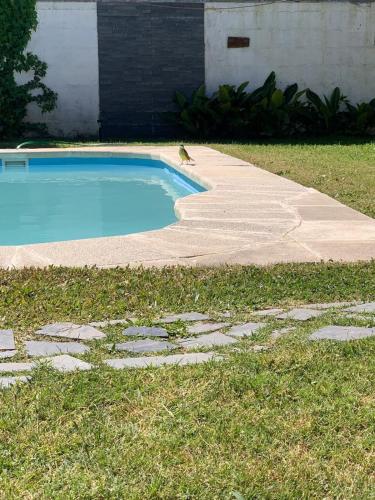 a dog is standing next to a swimming pool at Cabaña con piscina in Atlántida