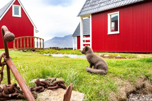 a bear sitting in the grass in front of a red building at Mjoeyri Travel Holiday Homes in Eskifjörður
