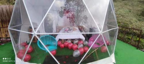 Zahrada ubytování Glamping Mirador de Tibacuy