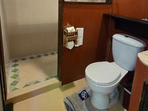 a bathroom with a white toilet in a room at Insda Wellness Resort in Chiang Mai