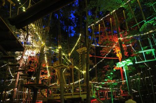 a carnival with christmas lights and a carousel at Crowne Plaza Virginia Beach Town Center by IHG in Virginia Beach