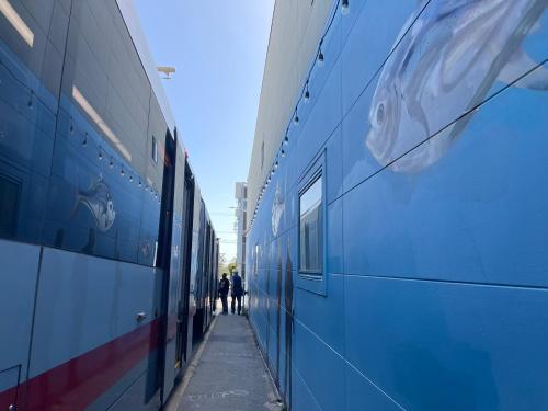 two people walking down a hallway between two blue trains at Private Lakeside Master Suite - Explore San Francisco's Urban Nature Galore in San Francisco