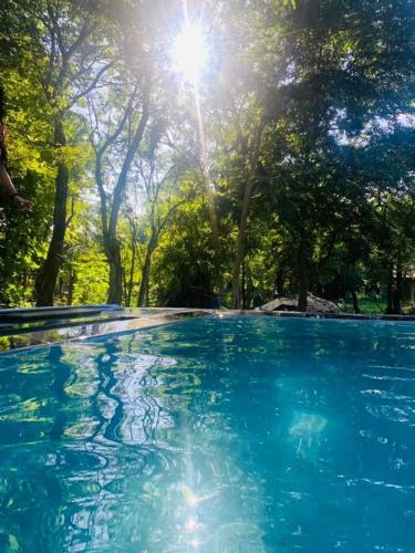 a pool of blue water with the sun shining through trees at Wildescape Polonnaruwa in Polonnaruwa