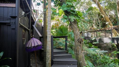a set of stairs leading up to a house with a tree at Shambhala @ Byron in Byron Bay
