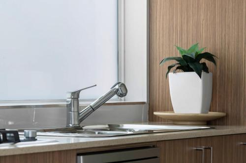 a plant in a white pot on a kitchen counter at Villa with Seaside Soul Newly Renovated in Caves Beach