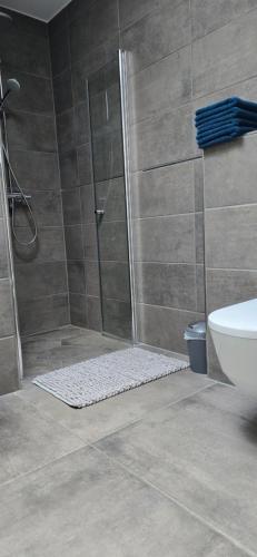 a bathroom with a shower with a toilet and a sink at Central Comfort Modernes Studio in Aschaffenburg