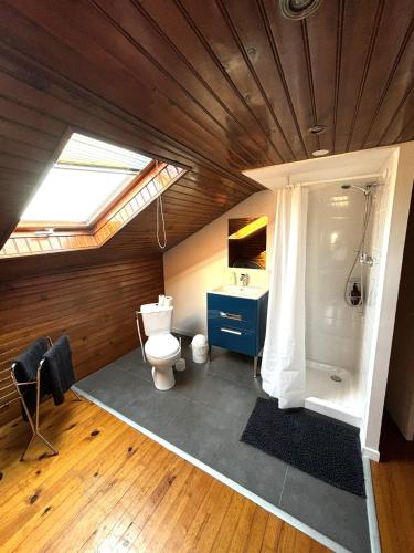 une salle de bain avec toilettes, douche et lavabo dans l'établissement Grande maison tout confort - 5 chambres 5 salles de bain - RER A - Paris - Disney, à Saint-Maur-des-Fossés