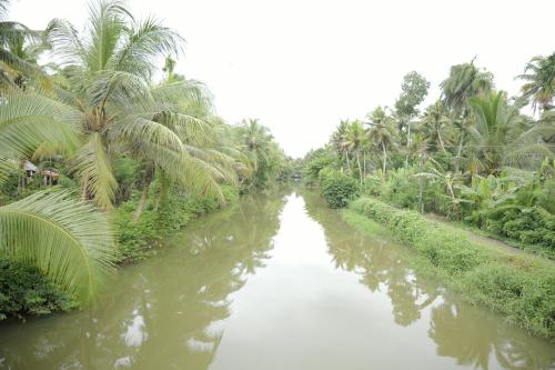 a river with palm trees on the side of it at Tharangini - Riverside Private Bedroom in Kumarakom