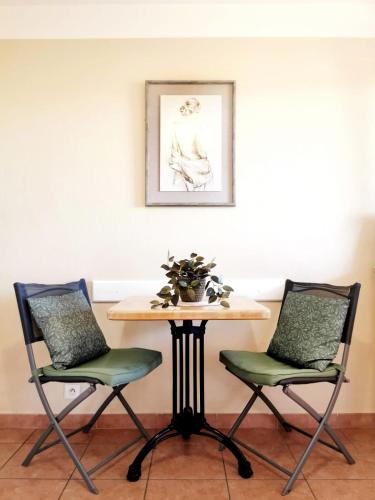 Deux chaises et une table avec une plante sur la table dans l'établissement Le Petit Bonheur - Location de vacances (Studio 4P), à Roquebrune-sur Argens