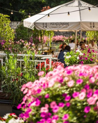 a garden with pink flowers and an umbrella at Pod Kolumnami in Pilica