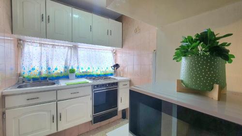 a kitchen with white cabinets and a sink and a potted plant at Expo gdl y col americana in Guadalajara