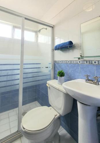a bathroom with a toilet and a sink at Expo gdl y col americana in Guadalajara