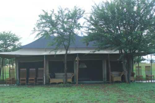 a house with a porch with two trees at Robin Serengeti Camp in Arusha