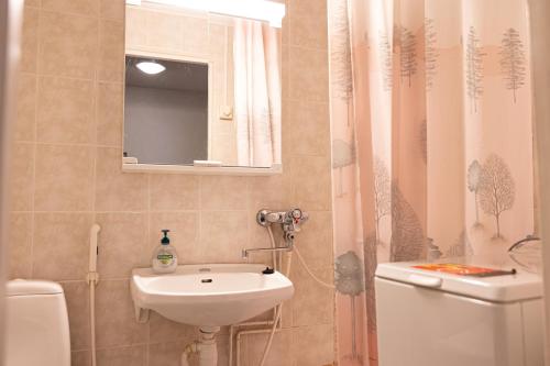 Ένα μπάνιο στο Lapland City Apartment