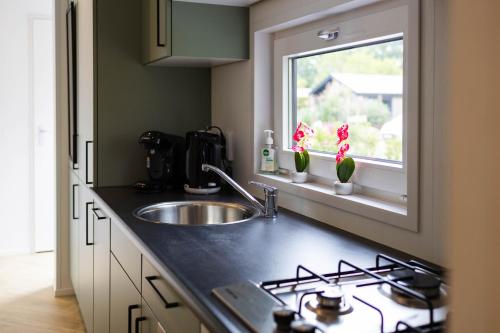 a kitchen counter with a sink and a window at Luxe vakantiechalet met royale tuin op de Veluwe in Epe