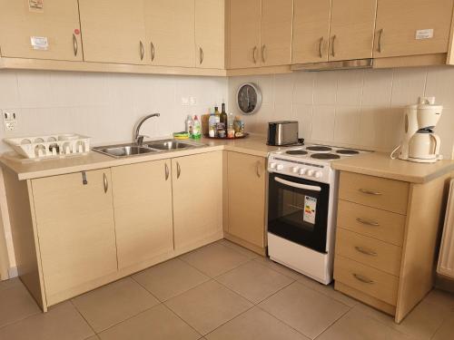 Η κουζίνα ή μικρή κουζίνα στο Family Apartment