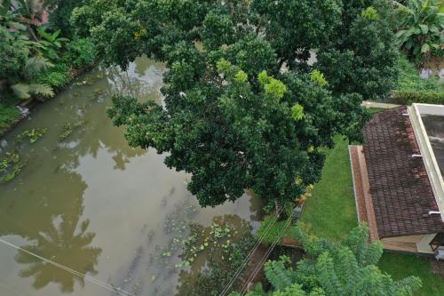 an aerial view of a river with a tree at Neelambari - Riverside Private Bedroom in Kumarakom