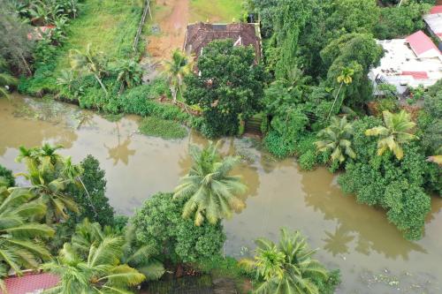 an aerial view of a river in the jungle at Neelambari - Riverside Private Bedroom in Kumarakom