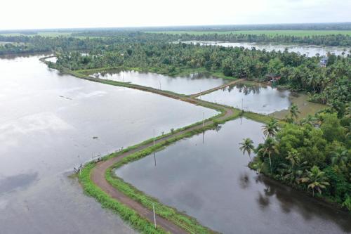 an aerial view of a river with trees at Neelambari - Riverside Private Bedroom in Kumarakom