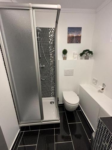 a bathroom with a shower and a toilet at Villa Seebach in Boltenhagen