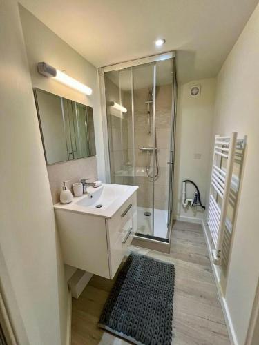 une salle de bain avec un lavabo blanc et une douche dans l'établissement l'Apparté Saint Michel - T1bis - Métro - TRAM, à Toulouse