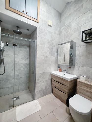 a bathroom with a shower and a toilet and a sink at Beautiful&quite warehouse in London